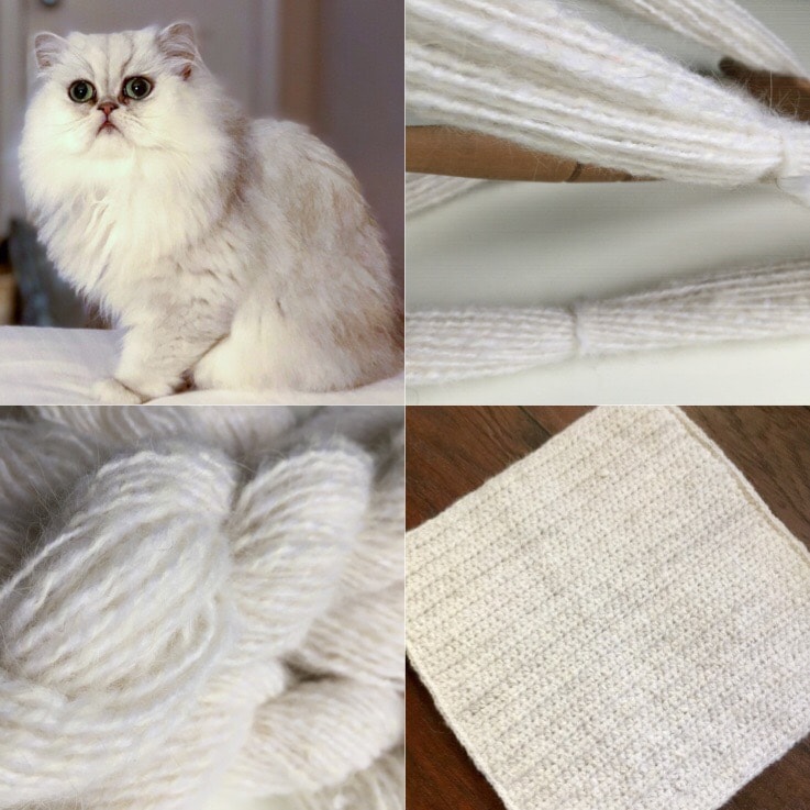 yarn and keepsake made from Persian cat