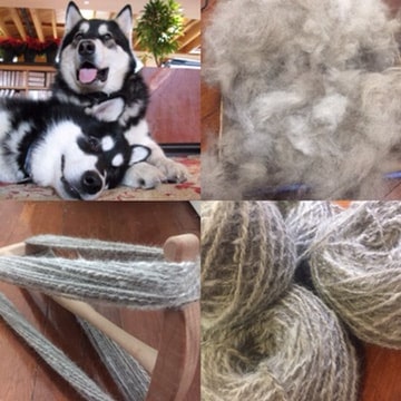 yarn made from malamute dog hair fur chiengora