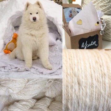 yarn and scarf made from Samoyed dog hair yarn