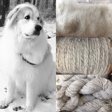 yarn made from great pyrenees dog