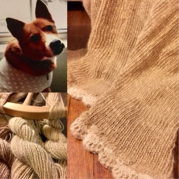 dog hair yarn and blanket made from dog hair Shiba inu