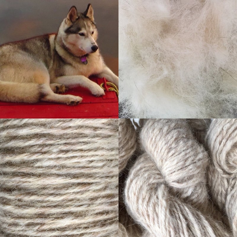 yarn made from huskies