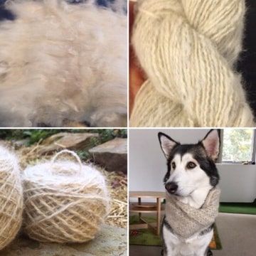 yarn and scarf made from malamute dog fur yarn