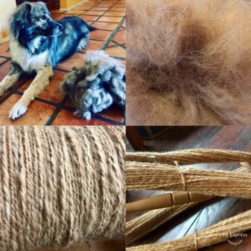 dog yarn made from austraiian shepherd
