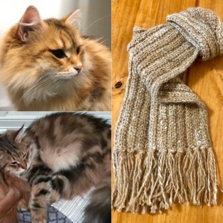 yarn and scarf made from Siberian forest cat