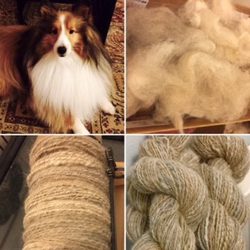 chiengora dog fur yarn made from sheltie dog
