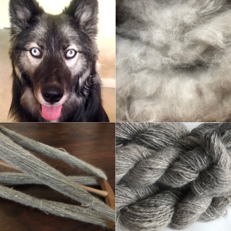 yarn made from husky dog