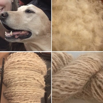 Chiengora. Yarn made from dog hair.