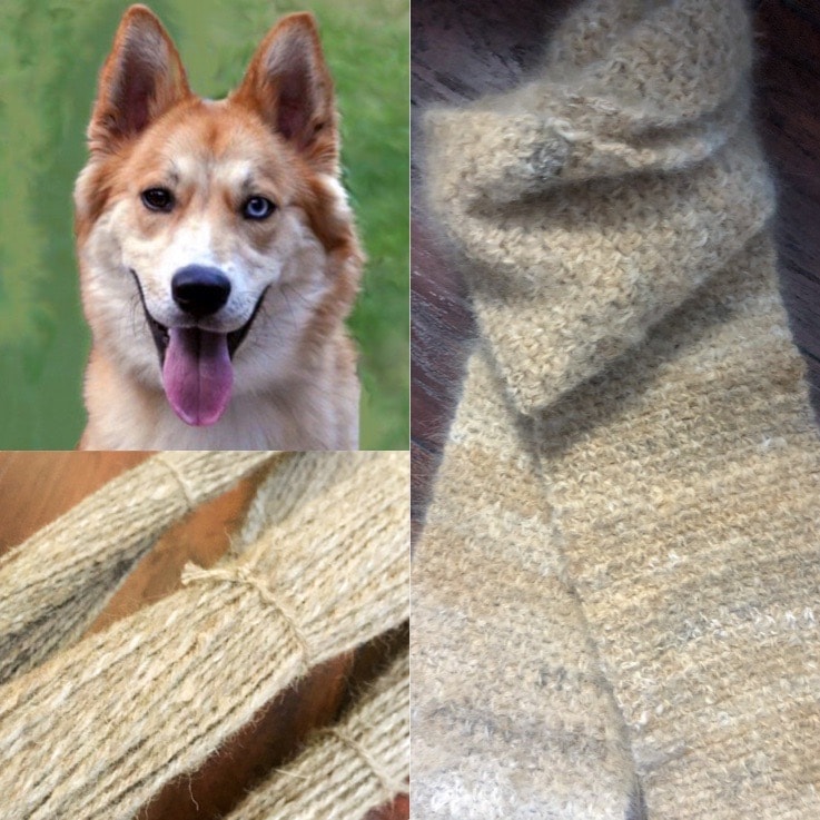 chiengora dog yarn made from Siberian husky
