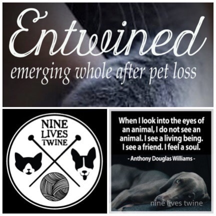 entwined nine lives twine blog