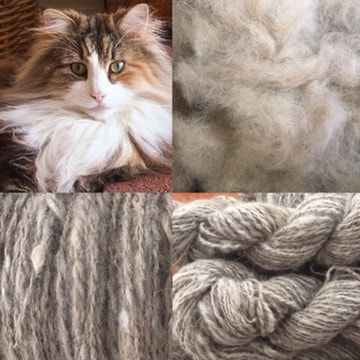 yarn made from Siberian forest cat
