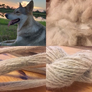 yarn made from wolf dog fur hair